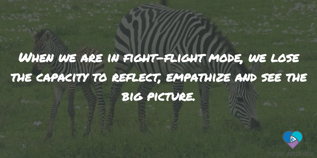 When we are in fight-flight mode, we lose the capacity to reflect, empathize and see the big picture.