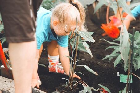 A girl helping her parents with gardening